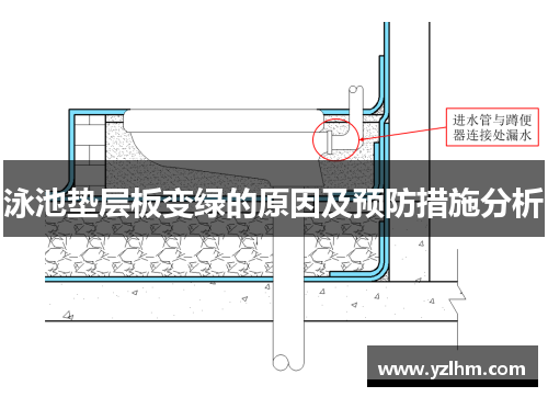 泳池垫层板变绿的原因及预防措施分析